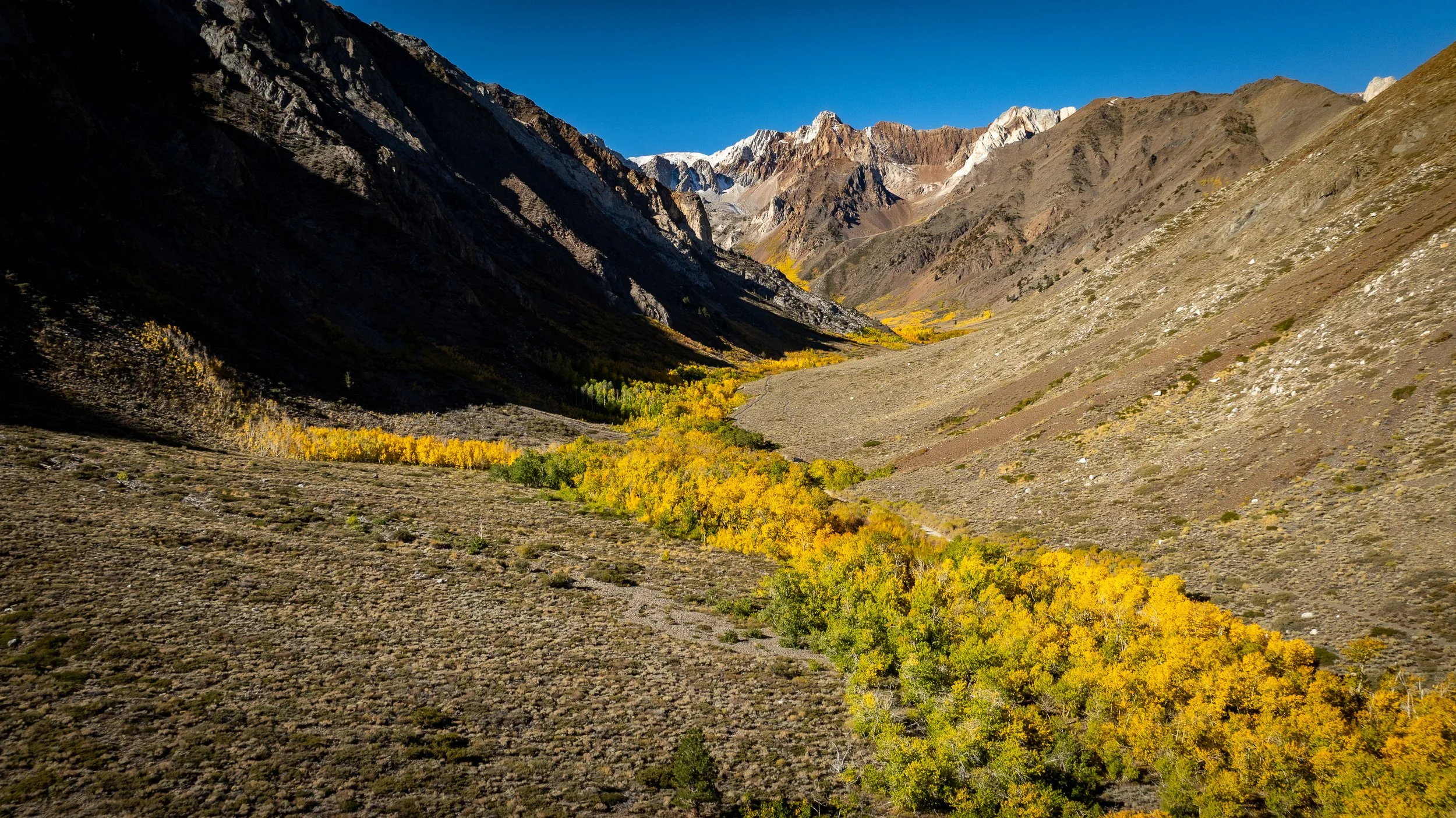 DJI_0585.jpg