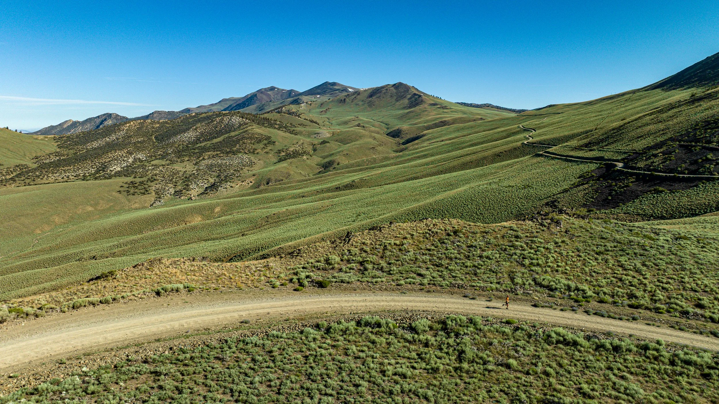 DJI_0780.jpg