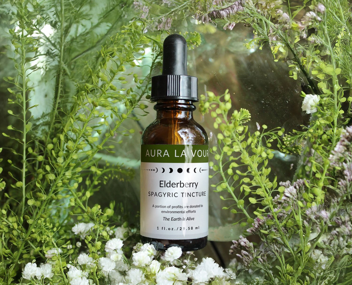 Elderberry Spagyric Tincture