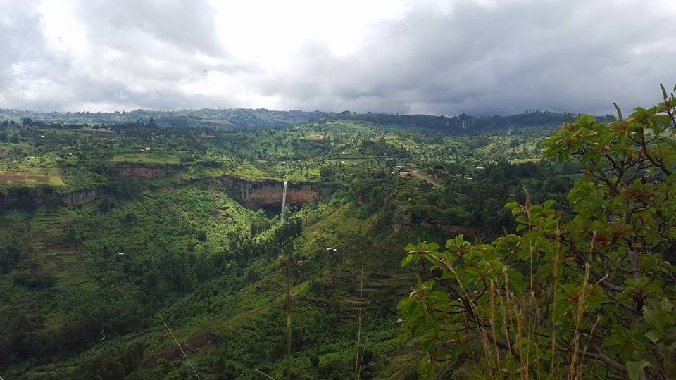 Lush green hilly landscape with a waterfall in the distance, under a cloudy sky, with some bush in the foreground.