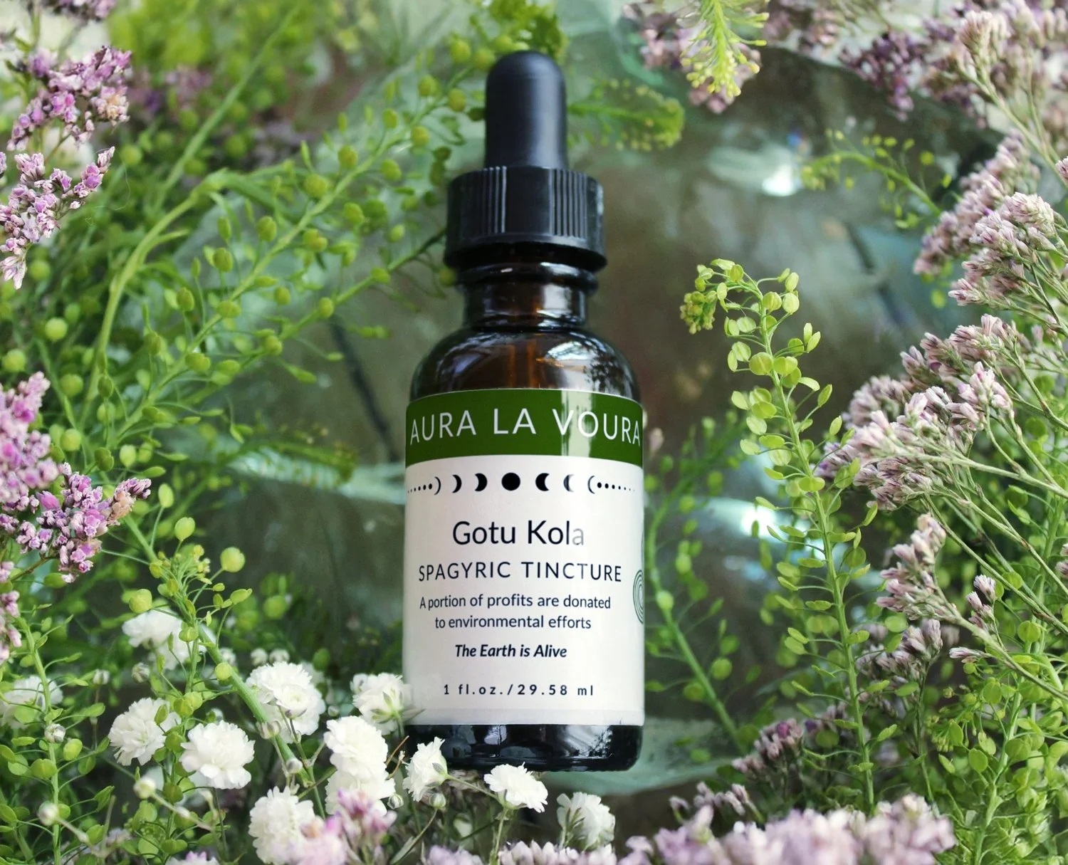 Gotu Kola Spagyric Tincture