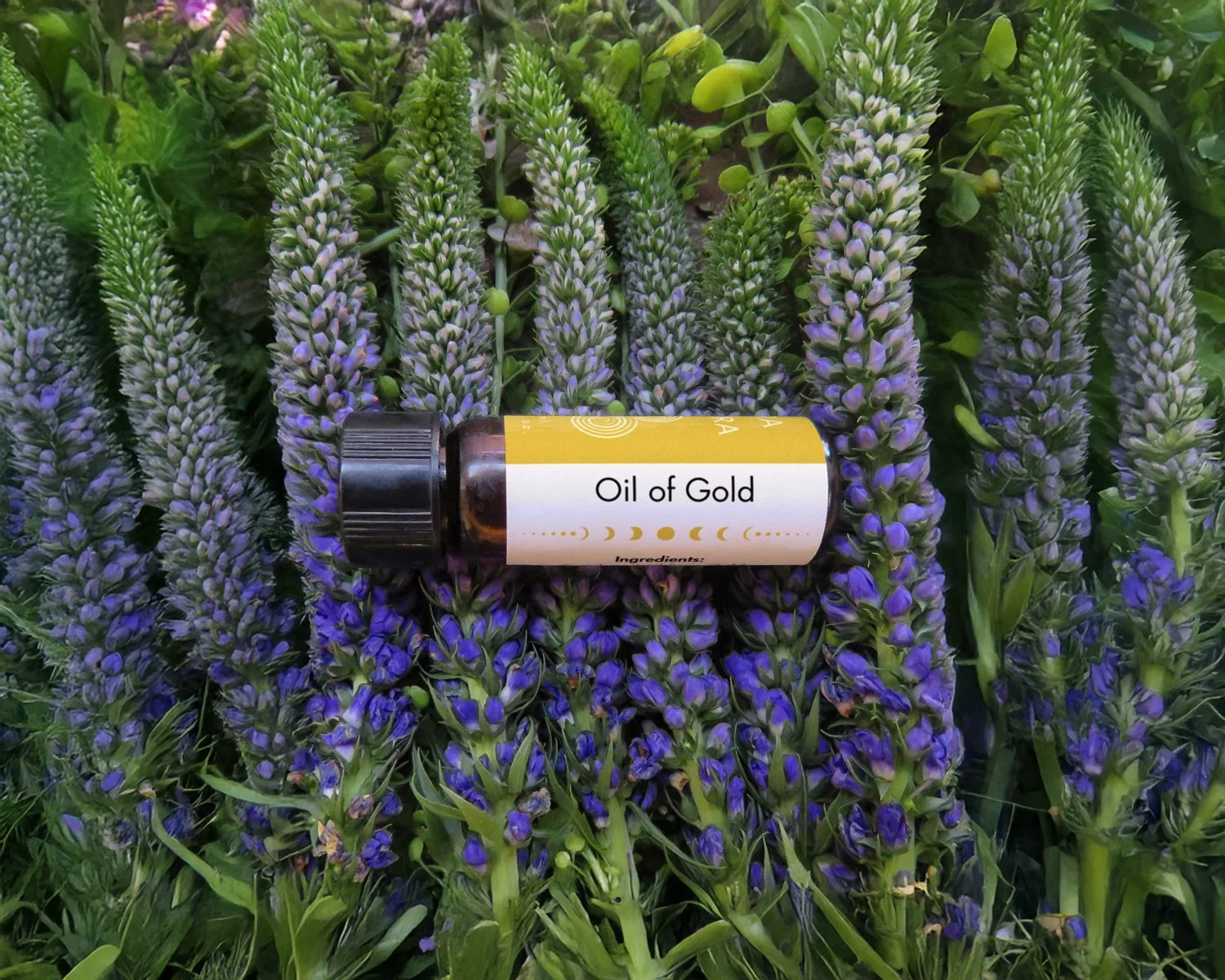 Oil of Gold {Metallic Spagyric}