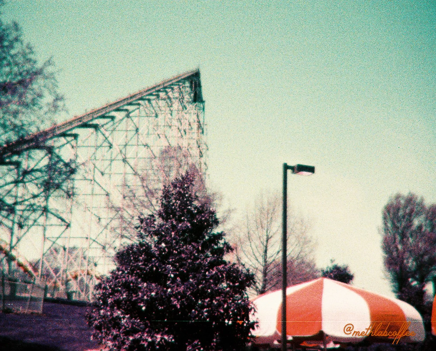 Lomo Purple Project-06.jpg