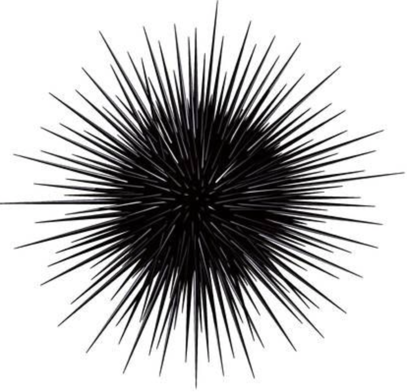 Principal Component Analysis 