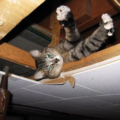 Home Inspection Marketing Intelligence Report. 