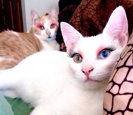 How to Market Make up Online?