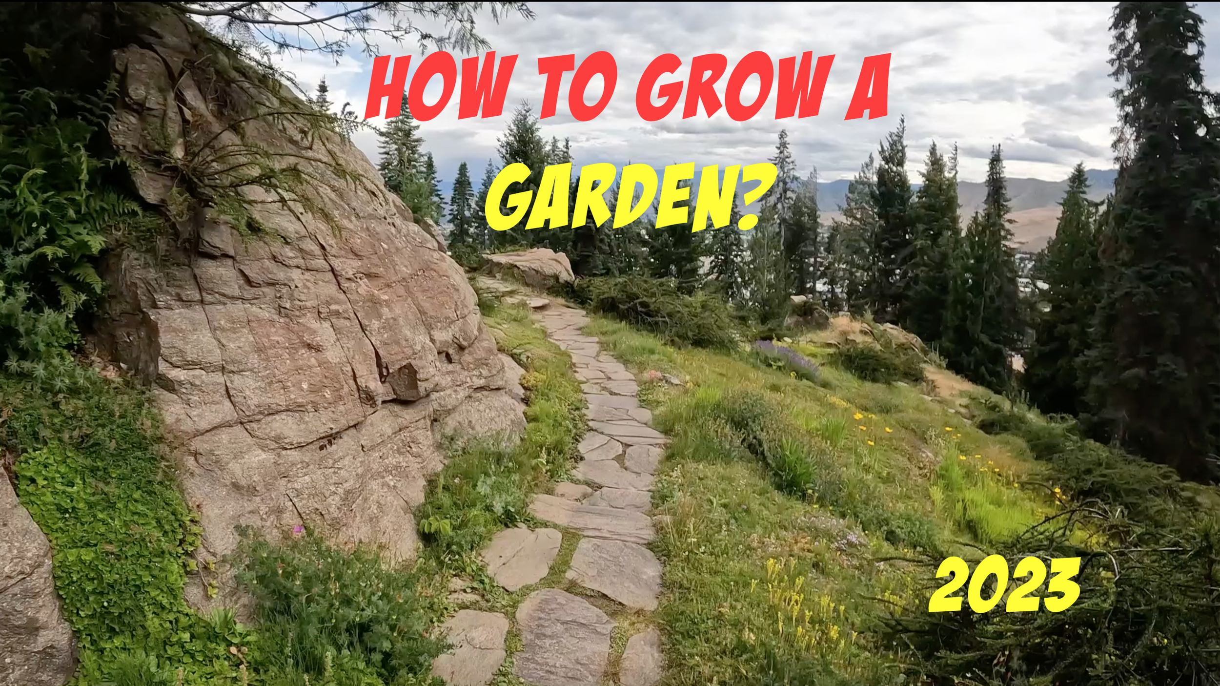 How to Grow a Garden in 2023