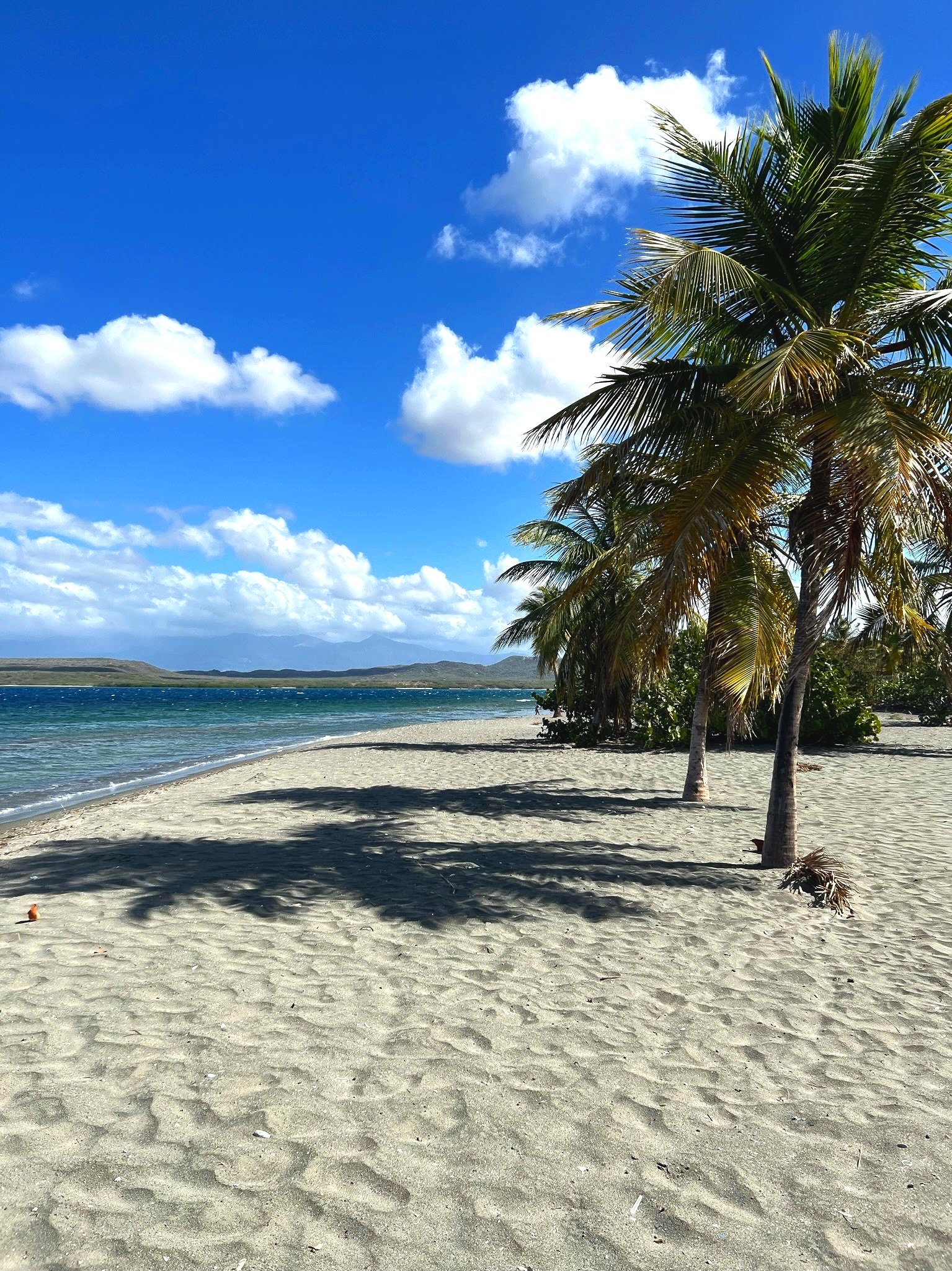 Las Salinas, Bani: Discover the Hidden Paradise of the Dominican Republic —  Cliff and Cove