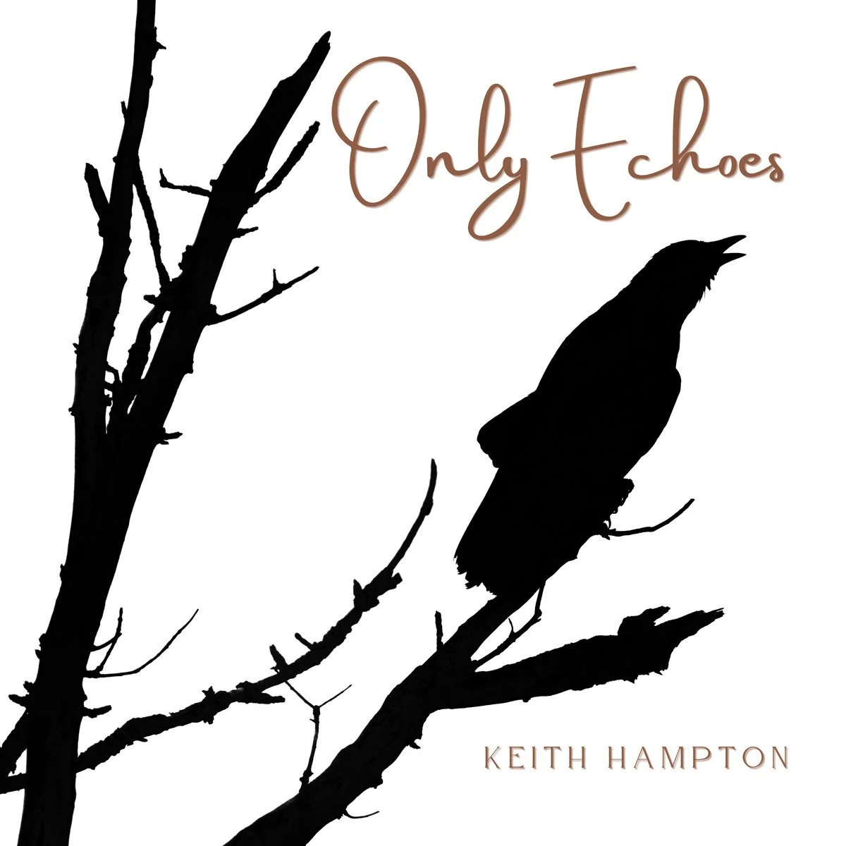 Keith Hampton, Only Echos