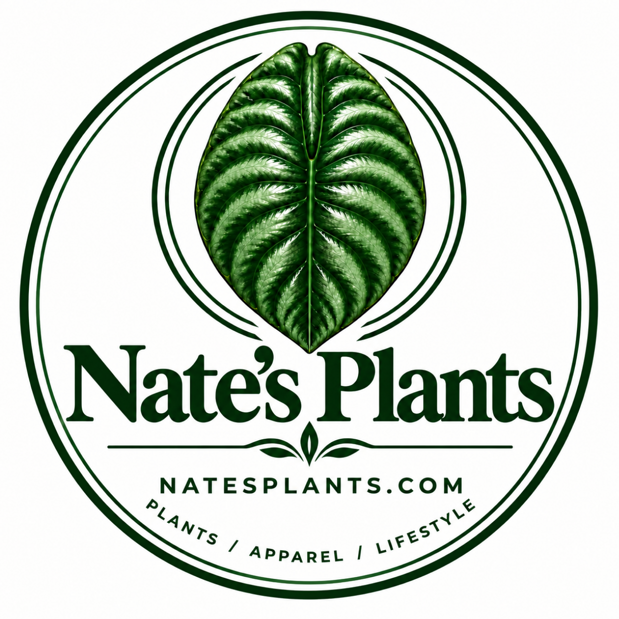 Nate's Plants