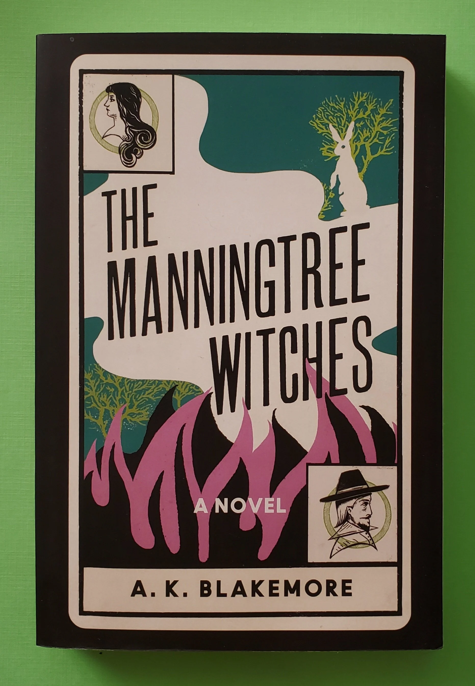 The Manningtree Witches