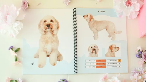 Cloudberry Pet Salon photo 8