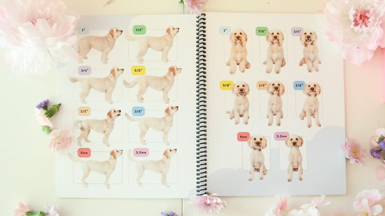 Cloudberry Pet Salon photo 5