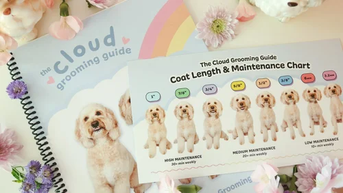 Cloudberry Pet Salon photo 9