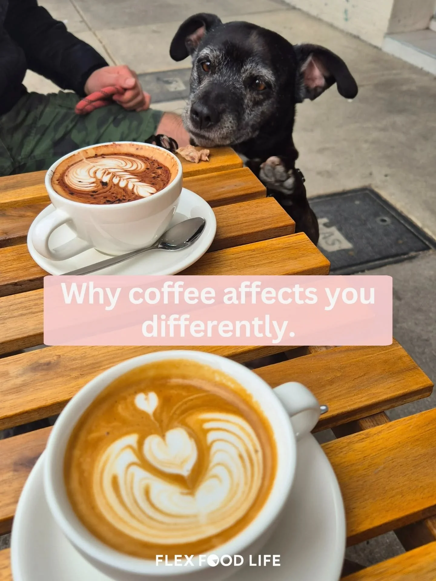 Coffee gets blamed for a lot.

But the issue usually isn&rsquo;t the coffee itself.
It&rsquo;s what&rsquo;s happening in your body when you drink it.

Caffeine blocks adenosine (the chemical that signals tiredness), so coffee doesn&rsquo;t give you e