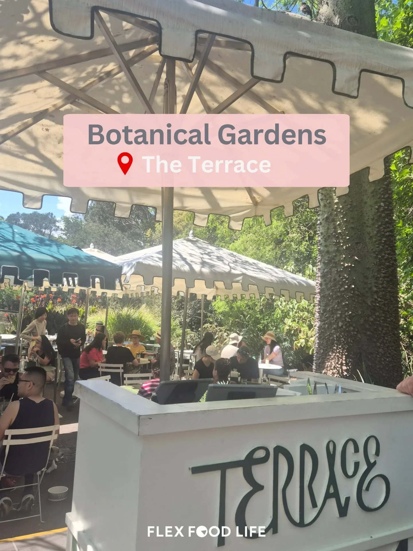 If you&rsquo;re going for the setting&hellip; this place is hard to beat. 🙌

Tucked inside the Royal Botanic Gardens Melbourne, @theterracebotanicgardens is one of those spots you visit as much for the experience as the food. 

Wooden punts cruising