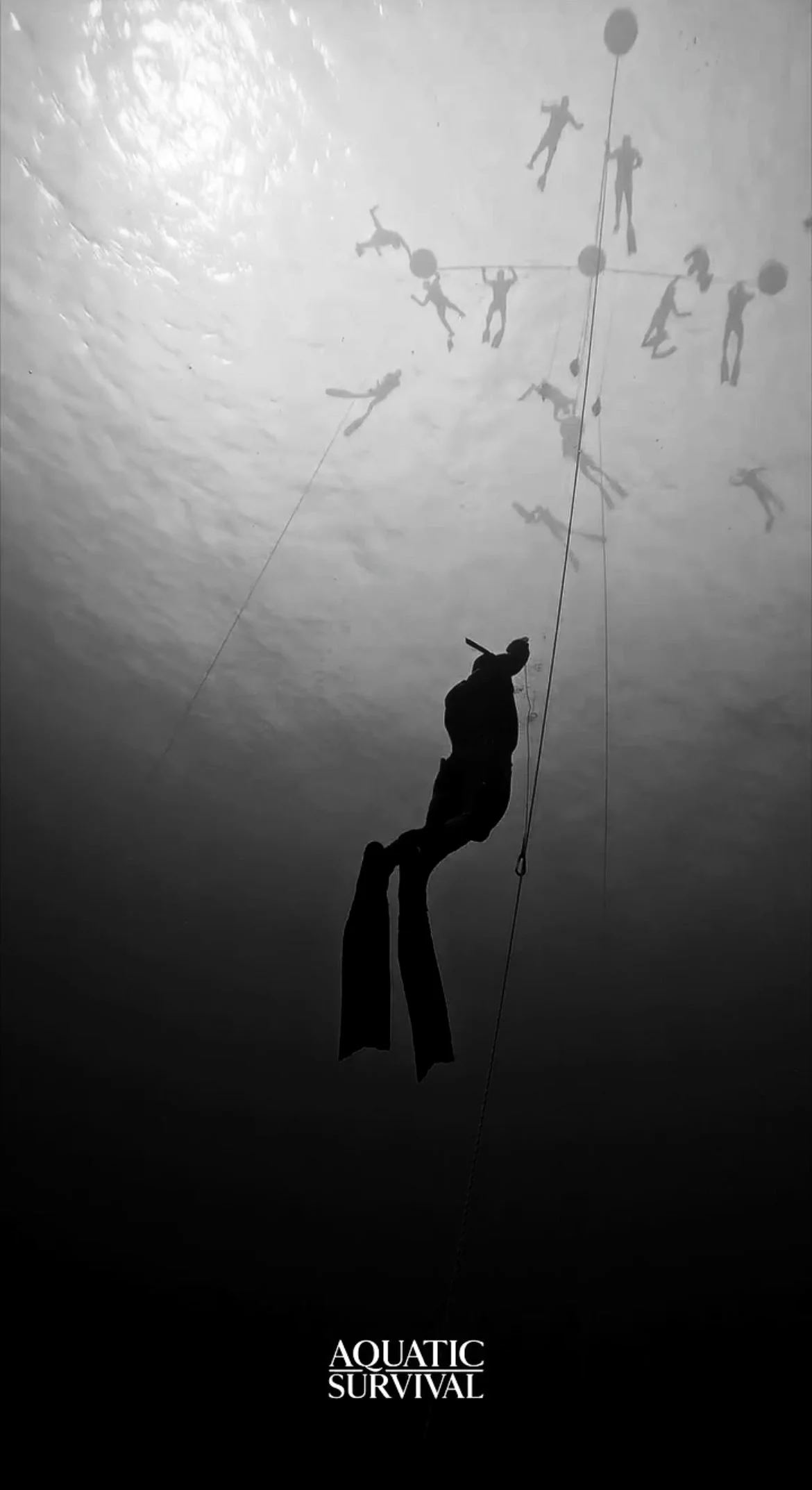 View recent photos.jpg