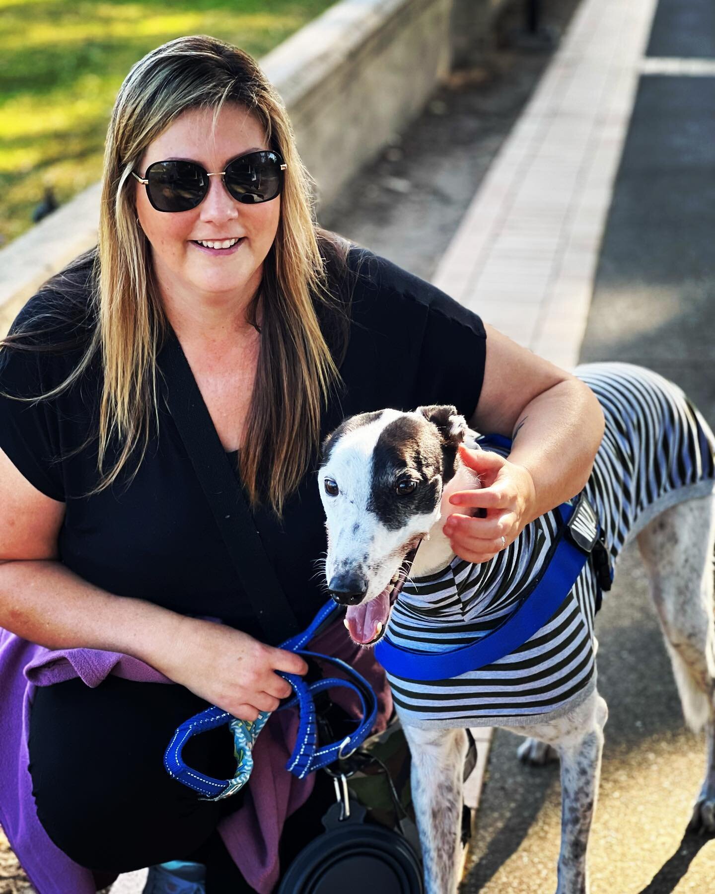 Do we cross the road whenever we spot a very good boy or girl? Why yes we do! Meet Wally (and Jo). Wally loves his sniffari and owns every fence post and clump of grass on the Husky foreshore. He&rsquo;s a very good boy indeed! @ragtobyandgreywally @