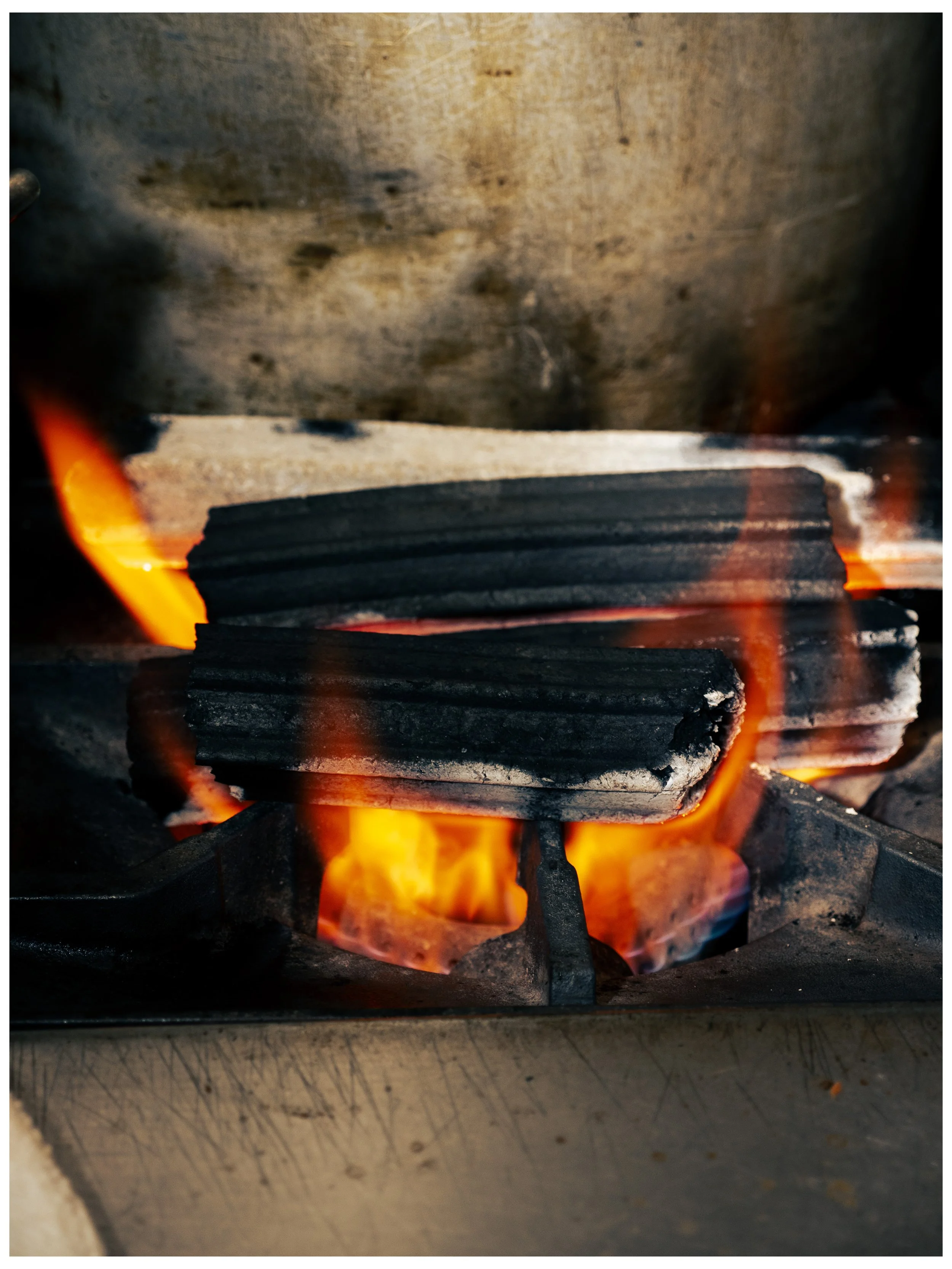 CREVETTE-27.jpg