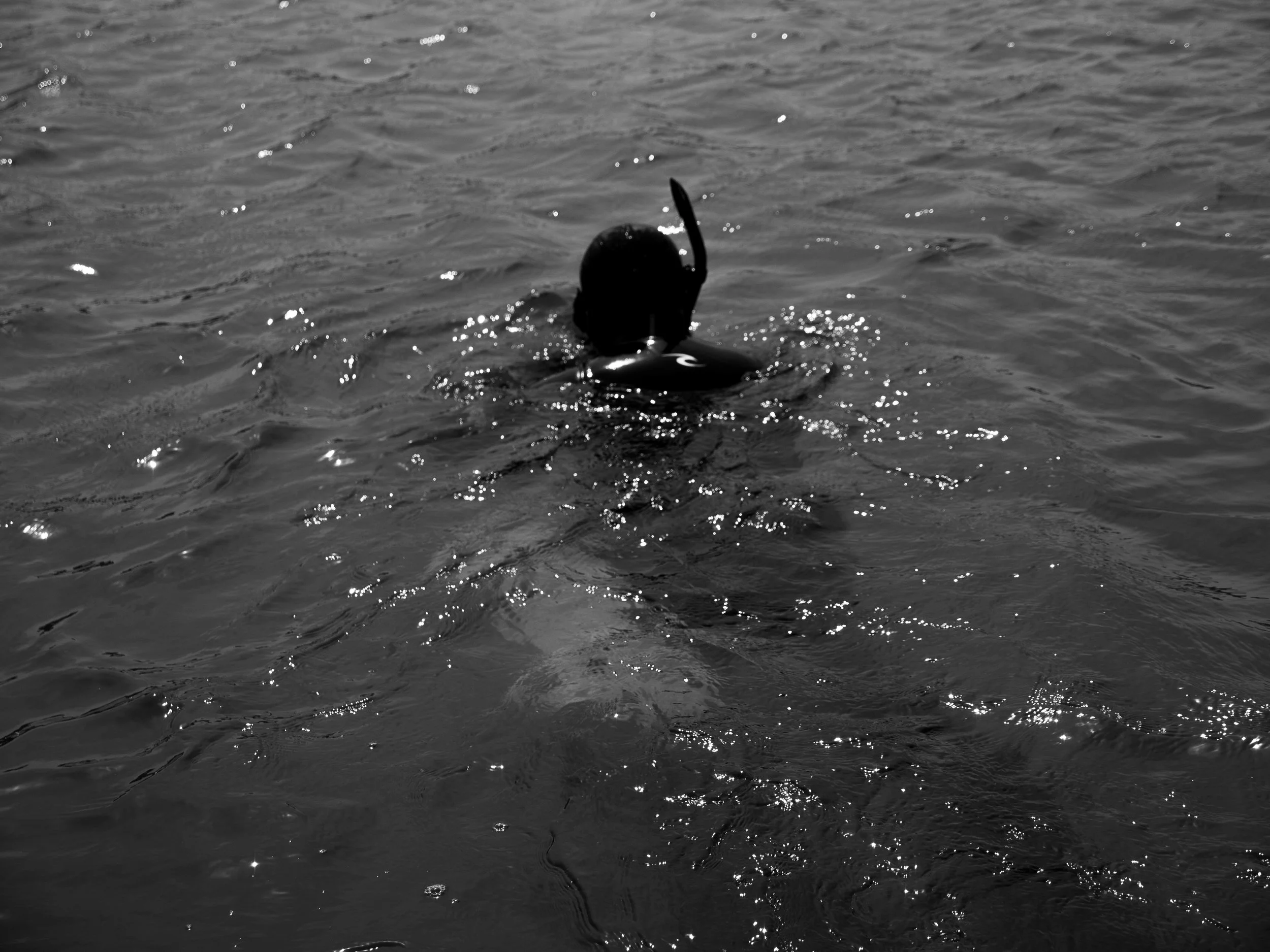 MONTAUK-49.jpg
