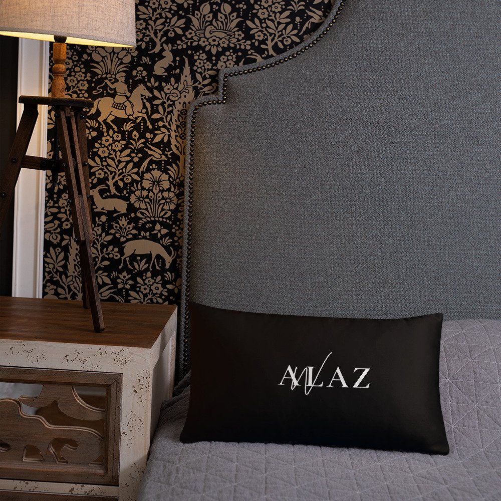 all-over-print-basic-pillow-20x12-back-lifestyle-2-62353aebe2b5f.jpg