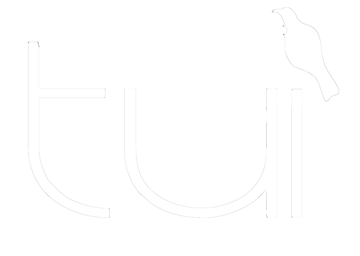 Tui Insulation R1.3 55mm Roof Blanket