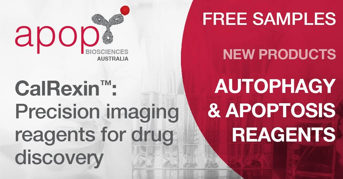 New Autophagic Flux and Apoptosis Reagents available for FREE Evaluation