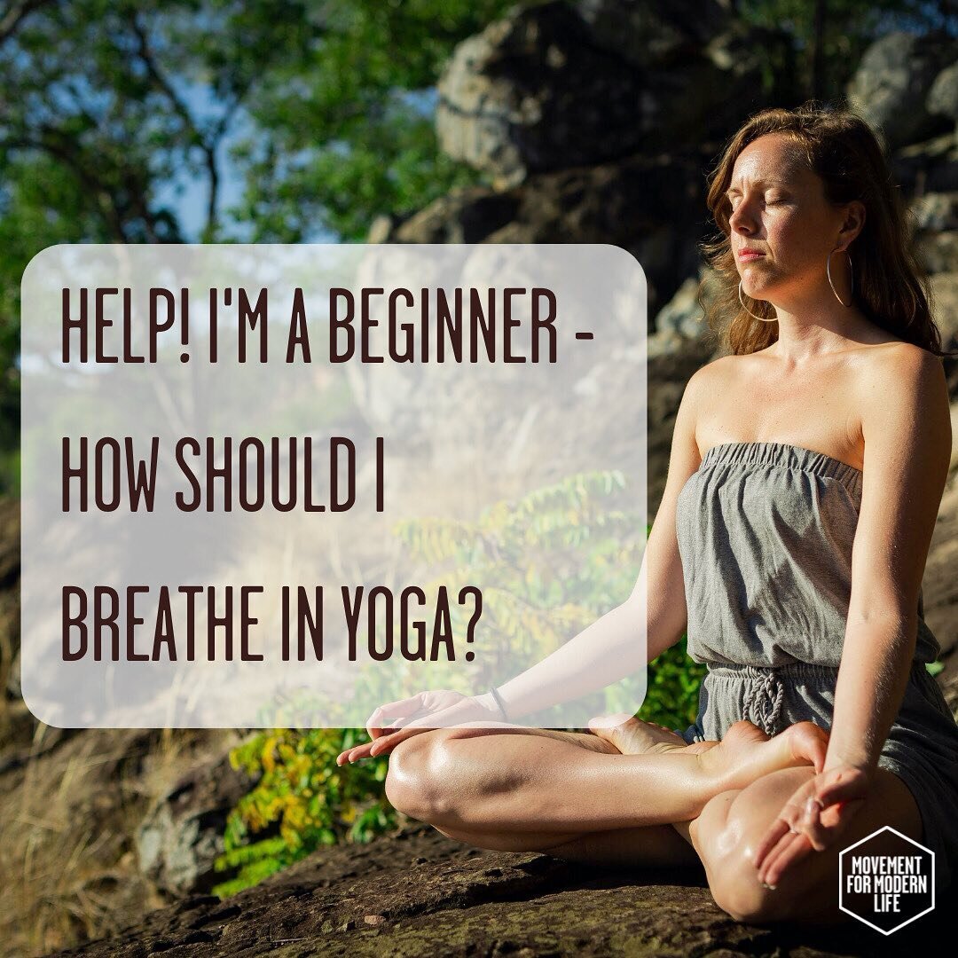 🔻BREATH &bull; @movementformodernlife Breath and yoga can sometimes seem a bit overwhelming if you're new to yoga, but it doesn't have to be!⠀⠀⠀⠀⠀⠀⠀⠀⠀
⠀⠀⠀⠀⠀⠀⠀⠀⠀
&quot;I was introduced to breath and working consciously with it as the foundation upon 