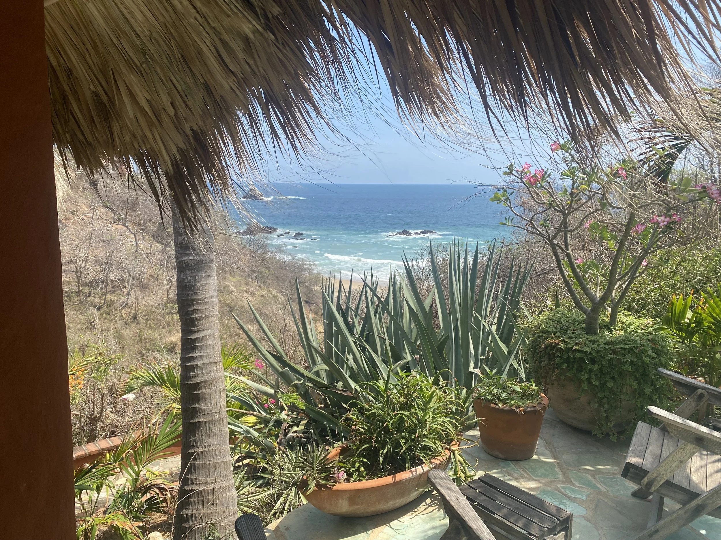 view from restaurant.jpg