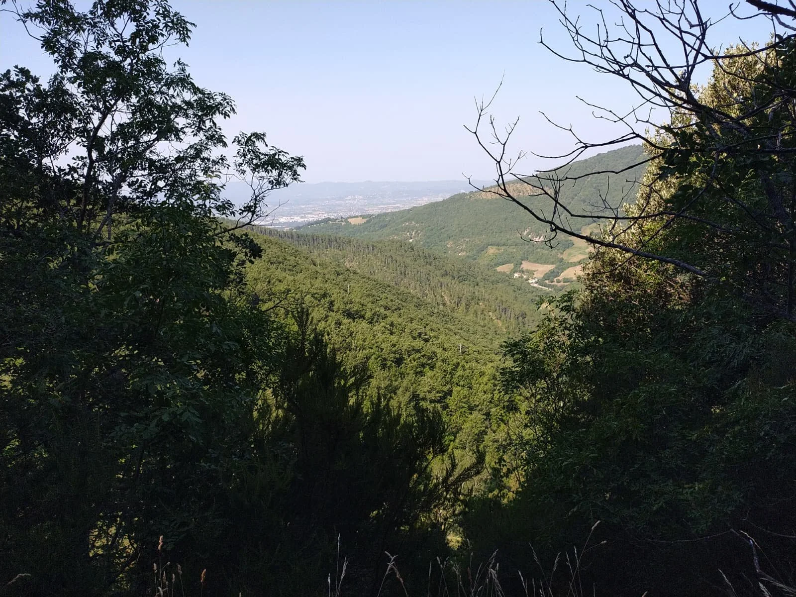 Vista dal Sasso Spicco