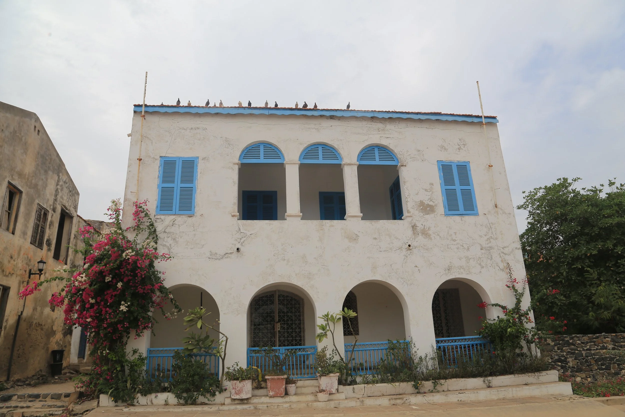 Edificio blanco de dos pisos con ventanas y puertas de celosía azul, en estilo colonial, con plantas y flores en el frente y palomas en el techo