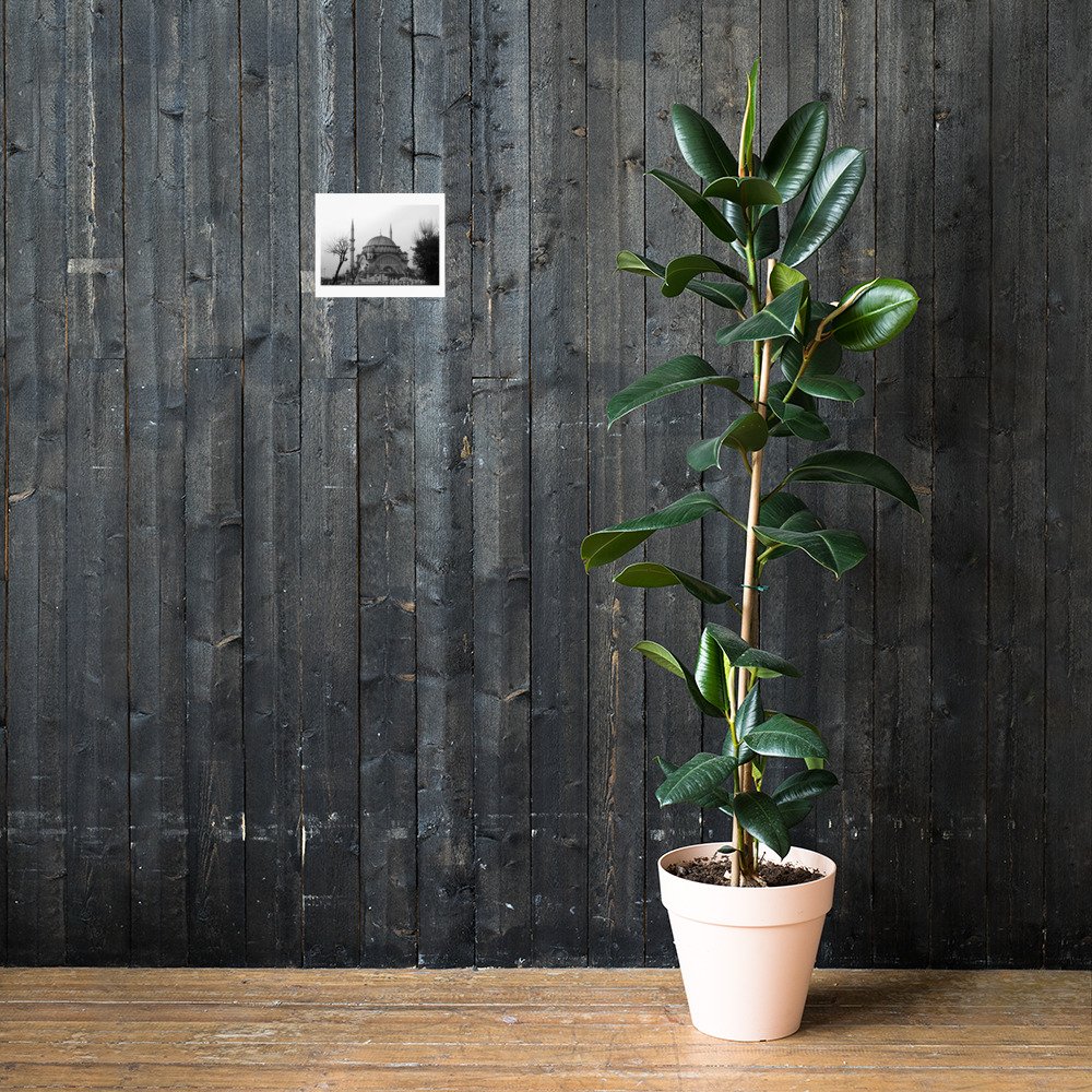enhanced-matte-paper-poster-(in)-8x10-lifestyle-2-6a2c7565c0e41.jpg