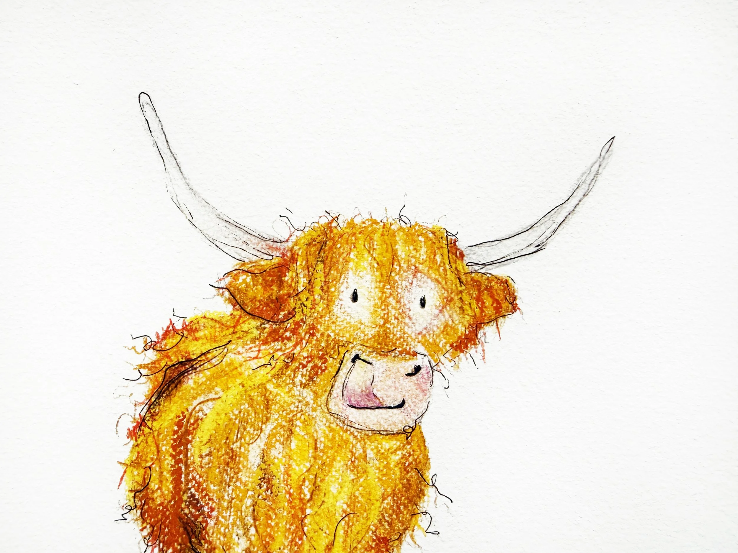Hilda the Highland Cow print