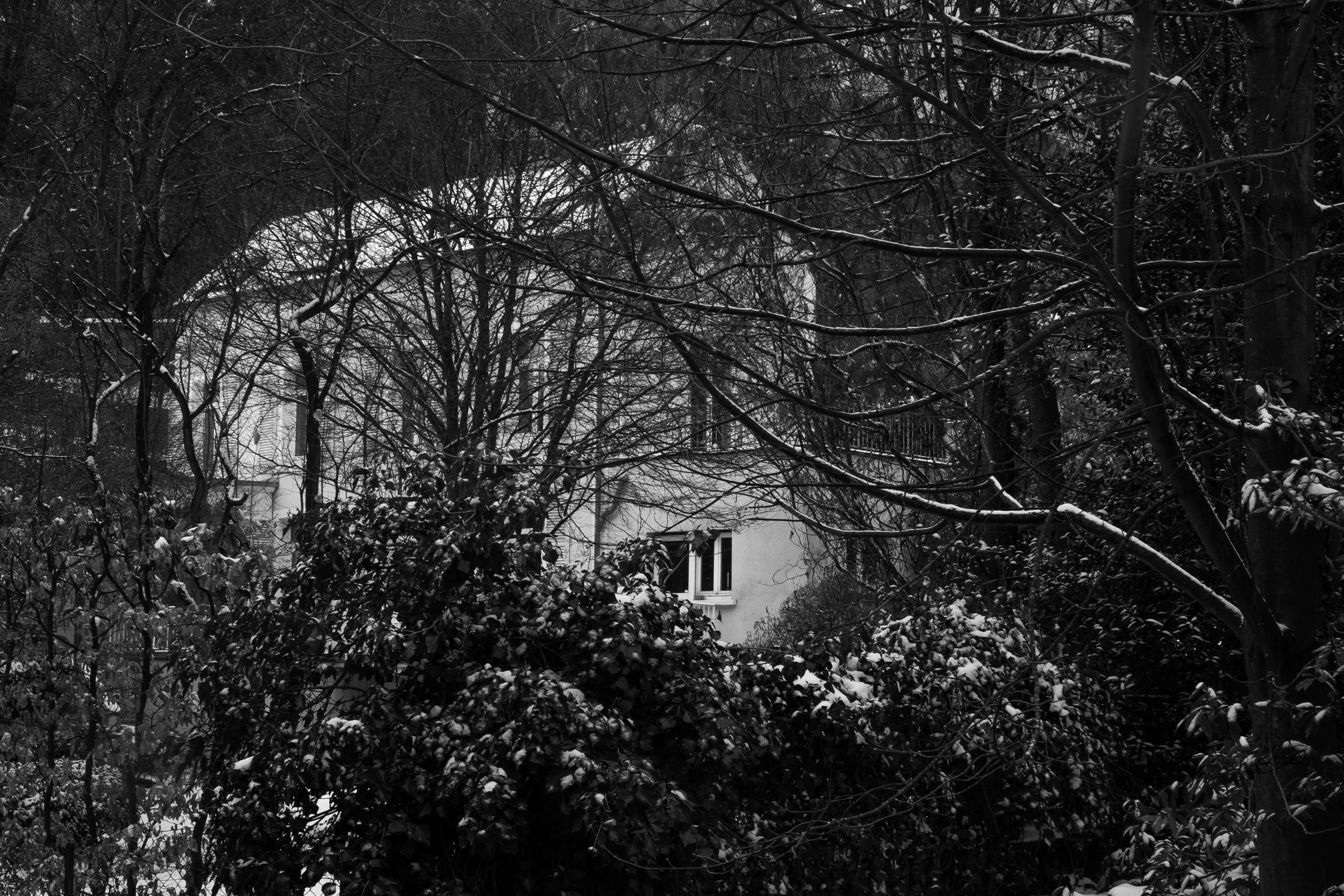 20130222-DSCF1004.jpg