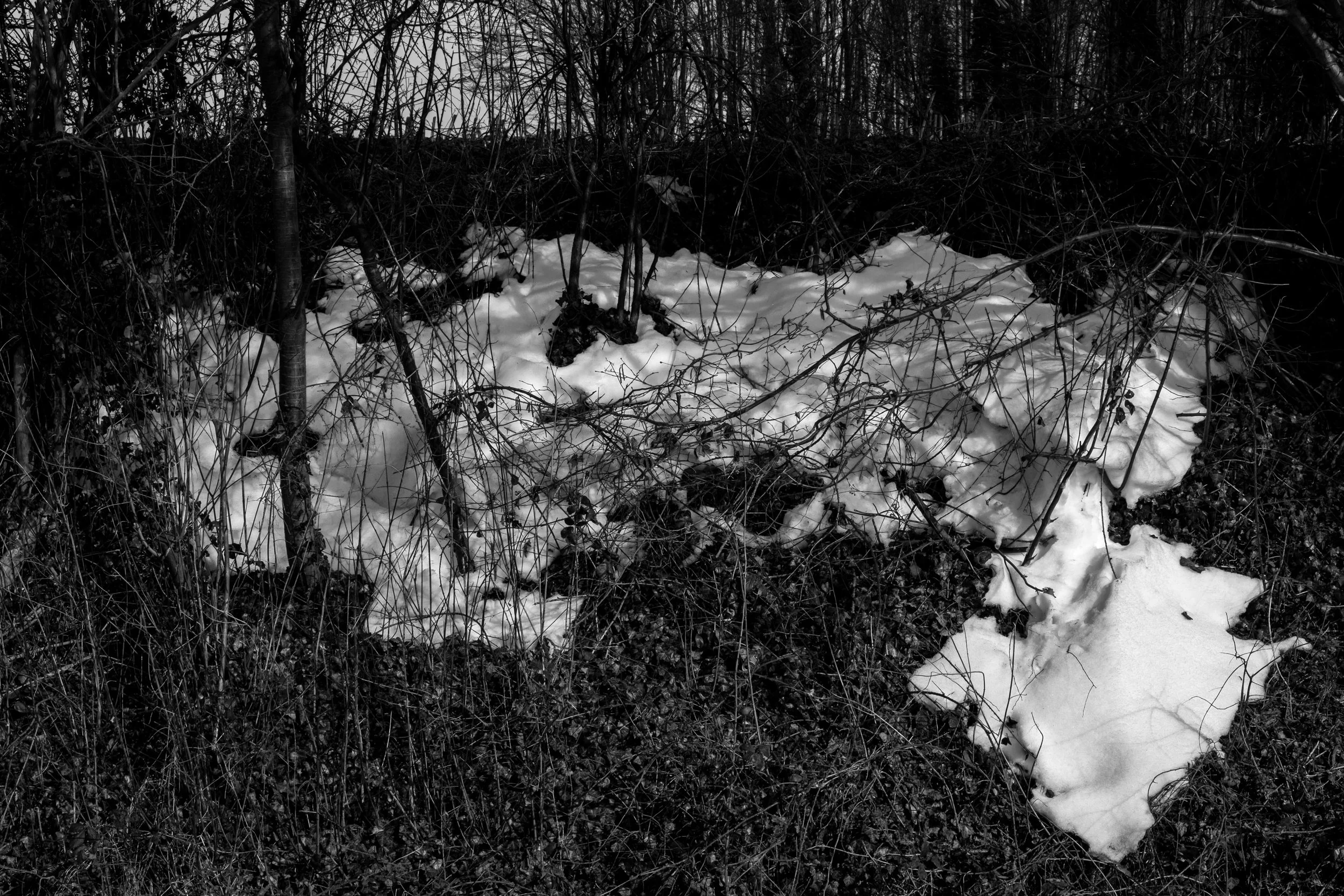 20130302-DSCF1094-2.jpg