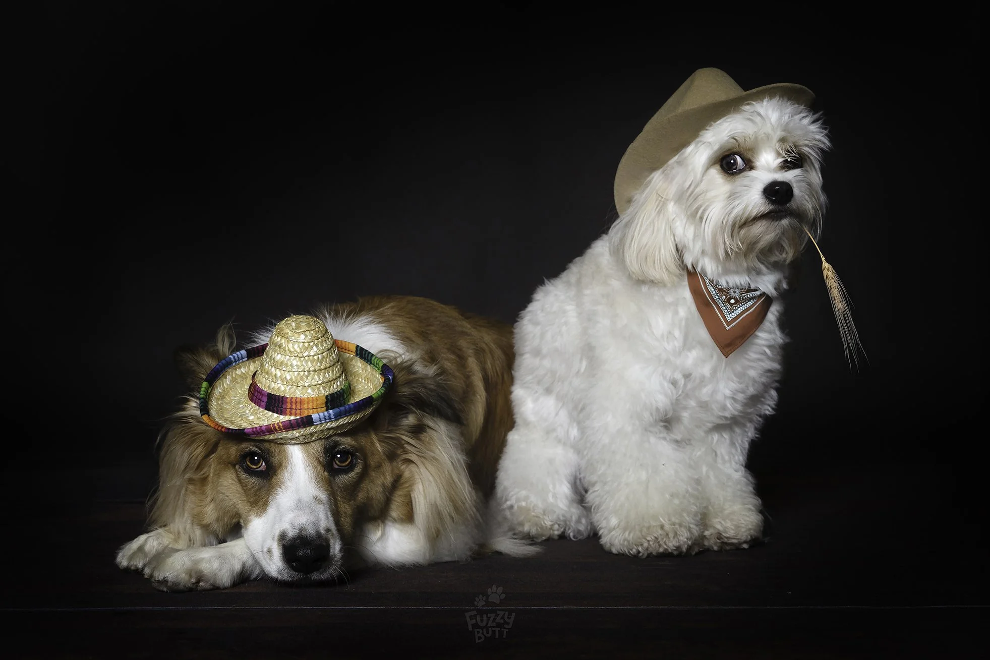 DSC03488-Edit copy.jpg