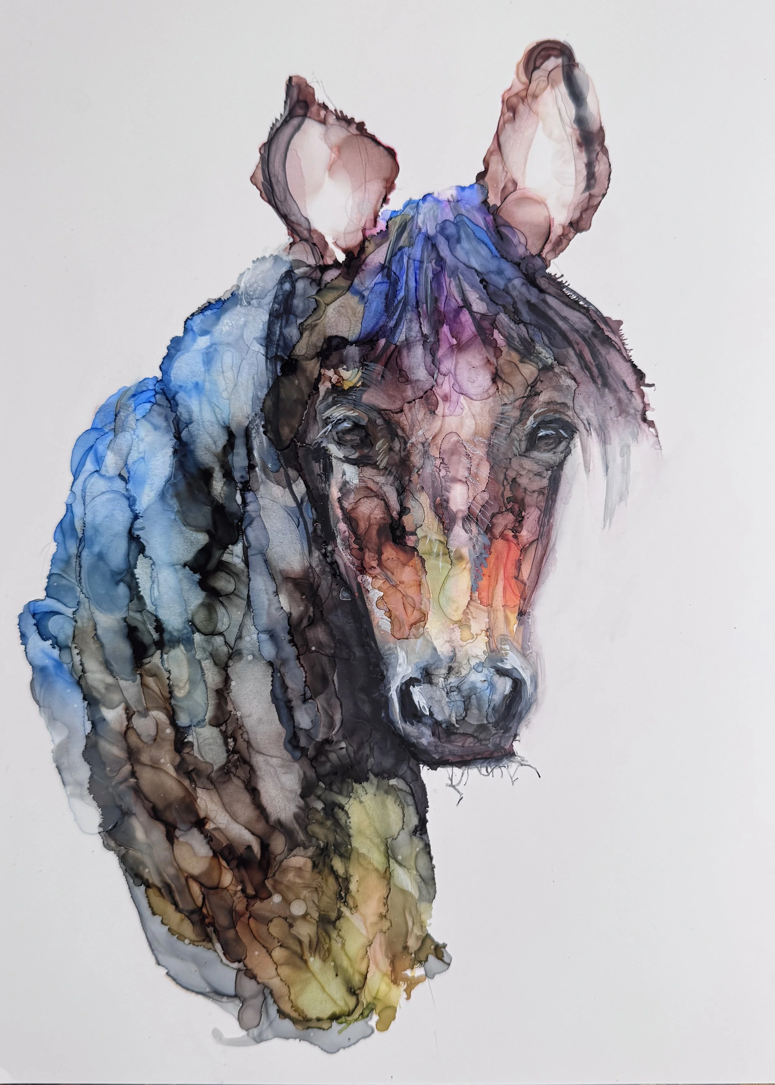 Horse_JessKristen_Alcohol Ink_9x12.JPG