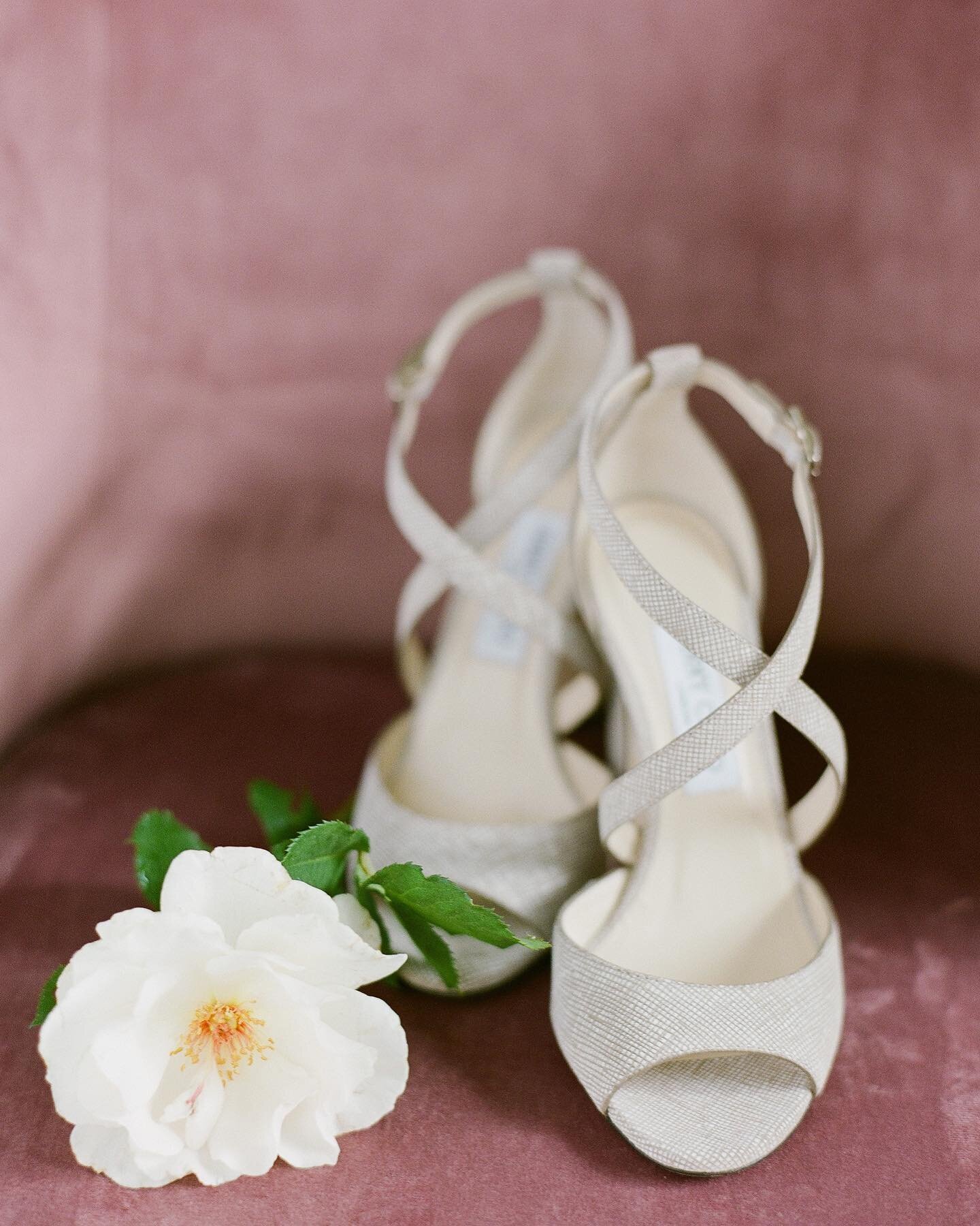 Jimmy Choo goodness for this bride&rsquo;s special day. 🤍
.
.
.
.
.
.
#katieparraphotography #seattlephotographer #weddingphotographer #seattleweddingphotographer #weddingshoes #jimmychoo #film