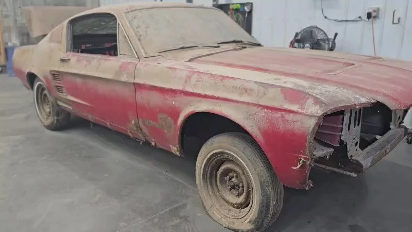 mustang before - frame at 0m0s.jpg
