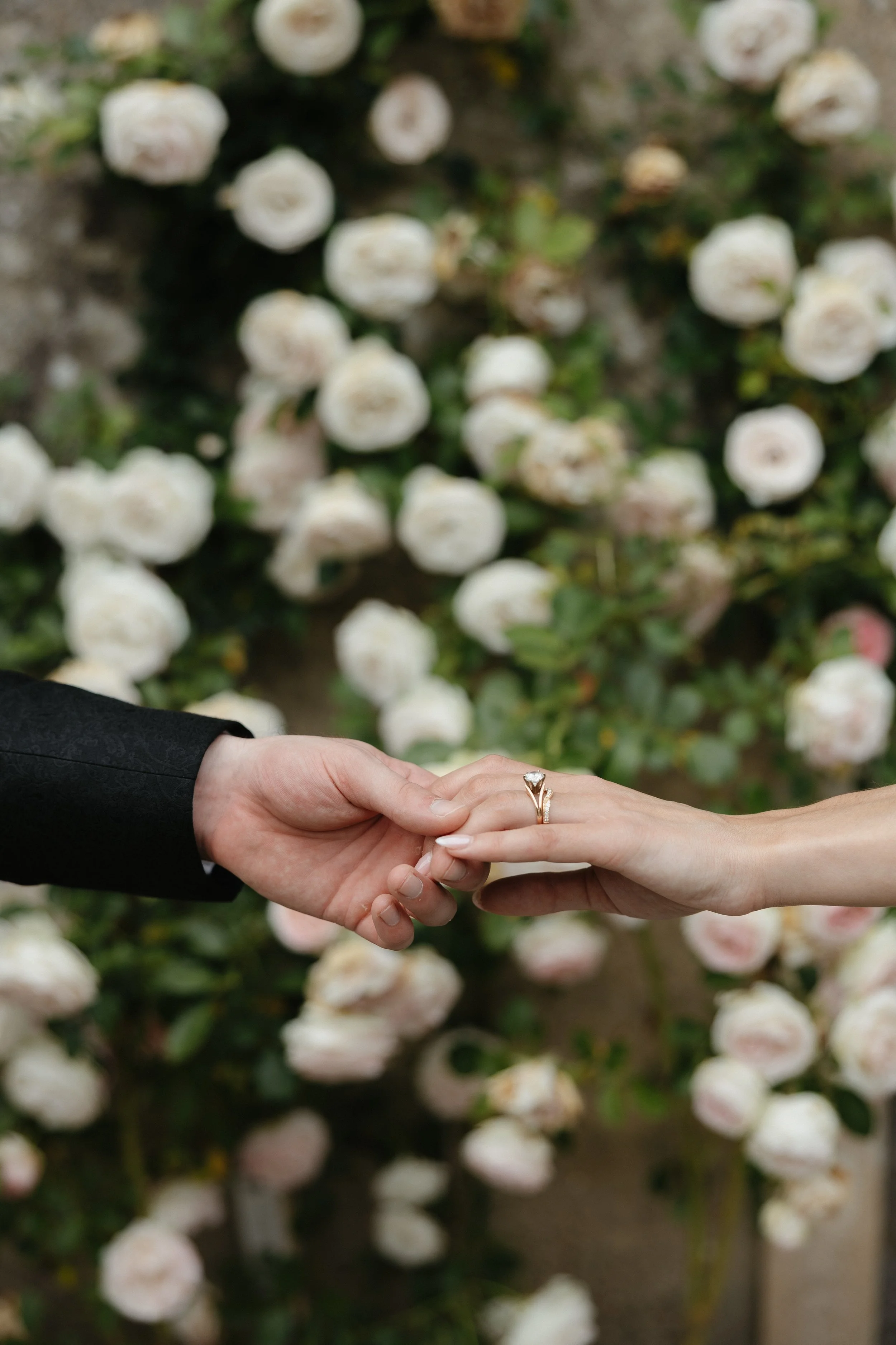 Morgan & Matt - Bruno Moreira Photography-49.jpg