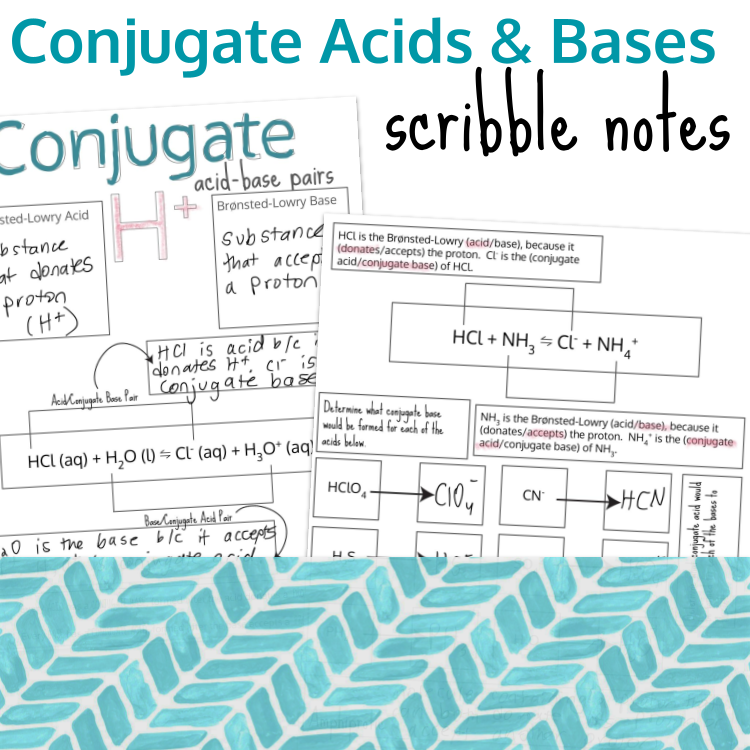 Conjugate Acids & Bases Scribble Notes Preview Images.png