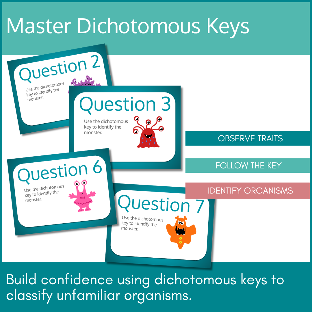 Dichotomous Key Pixel Art Preview Image 3.png