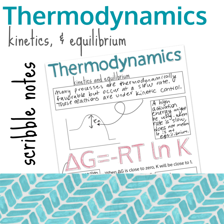 Thermo Kinetics and Equilibrium Scribble Notes Preview Images.png