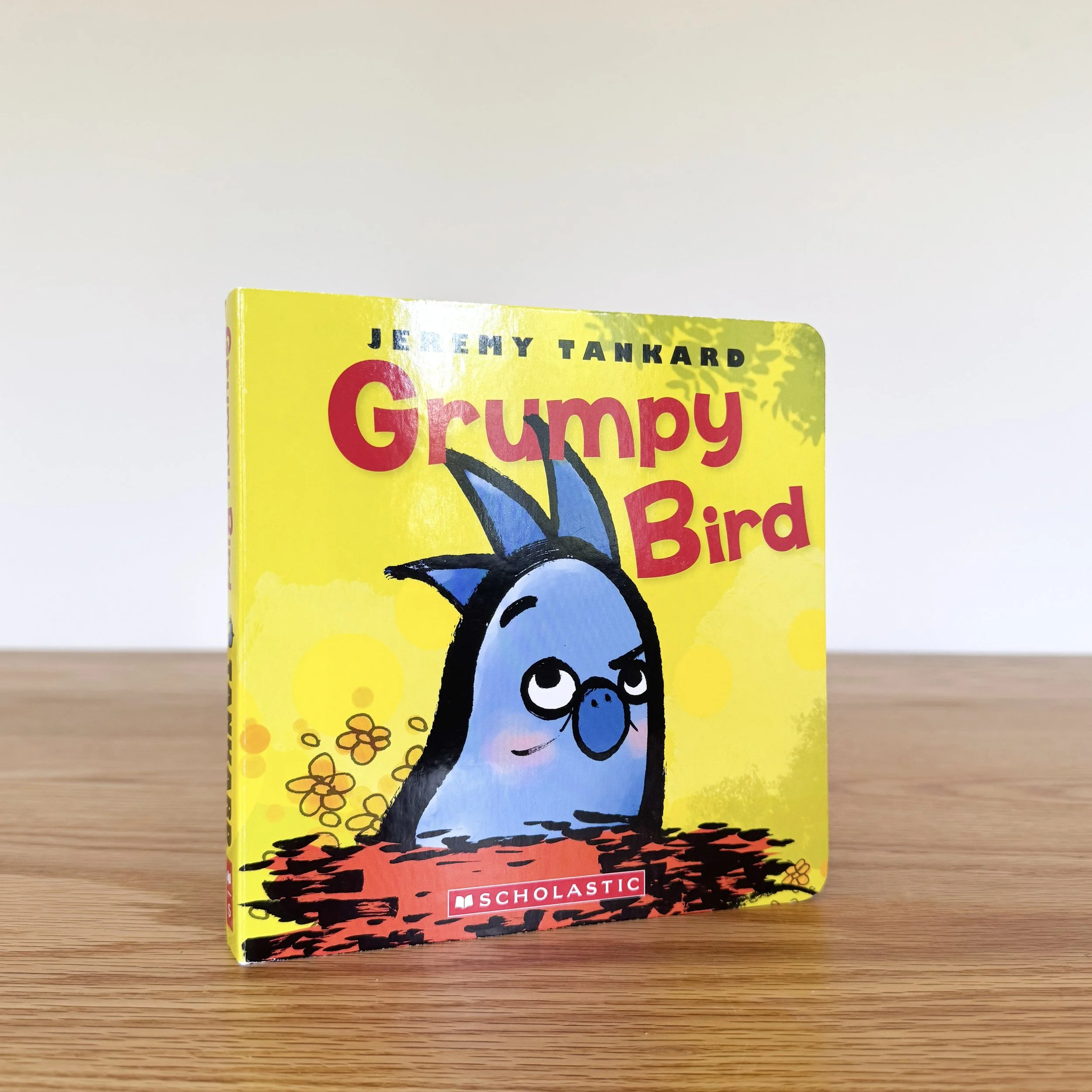 Grumpy Bird