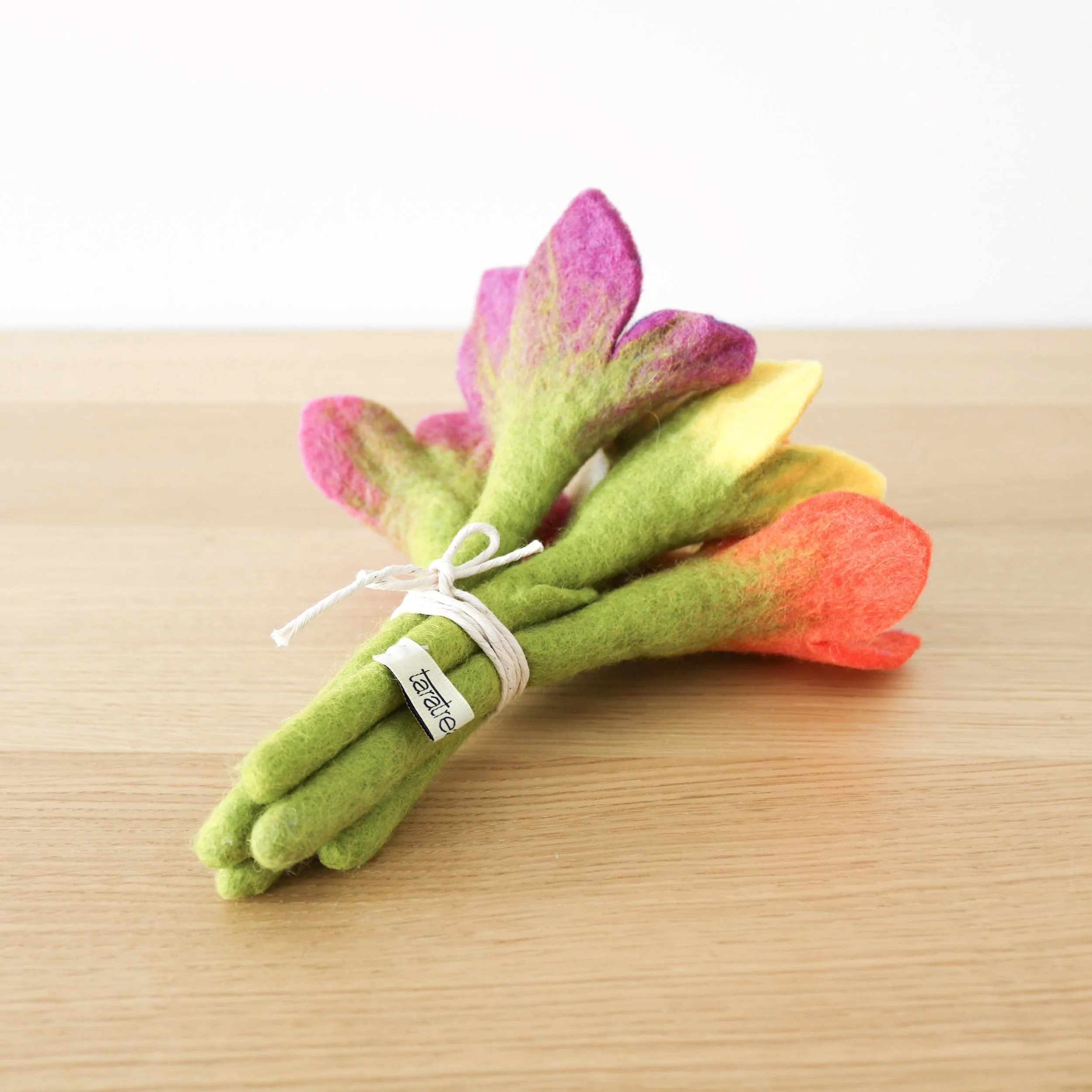 tara photo 2 of 2.jpg