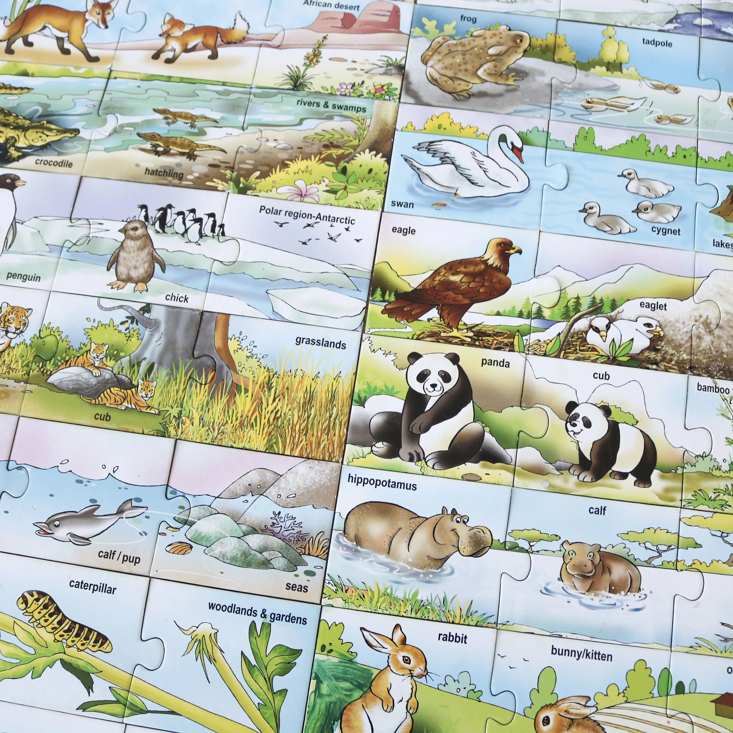 Creative's Animals, Babies and Habitats Self Correcting Puzzles