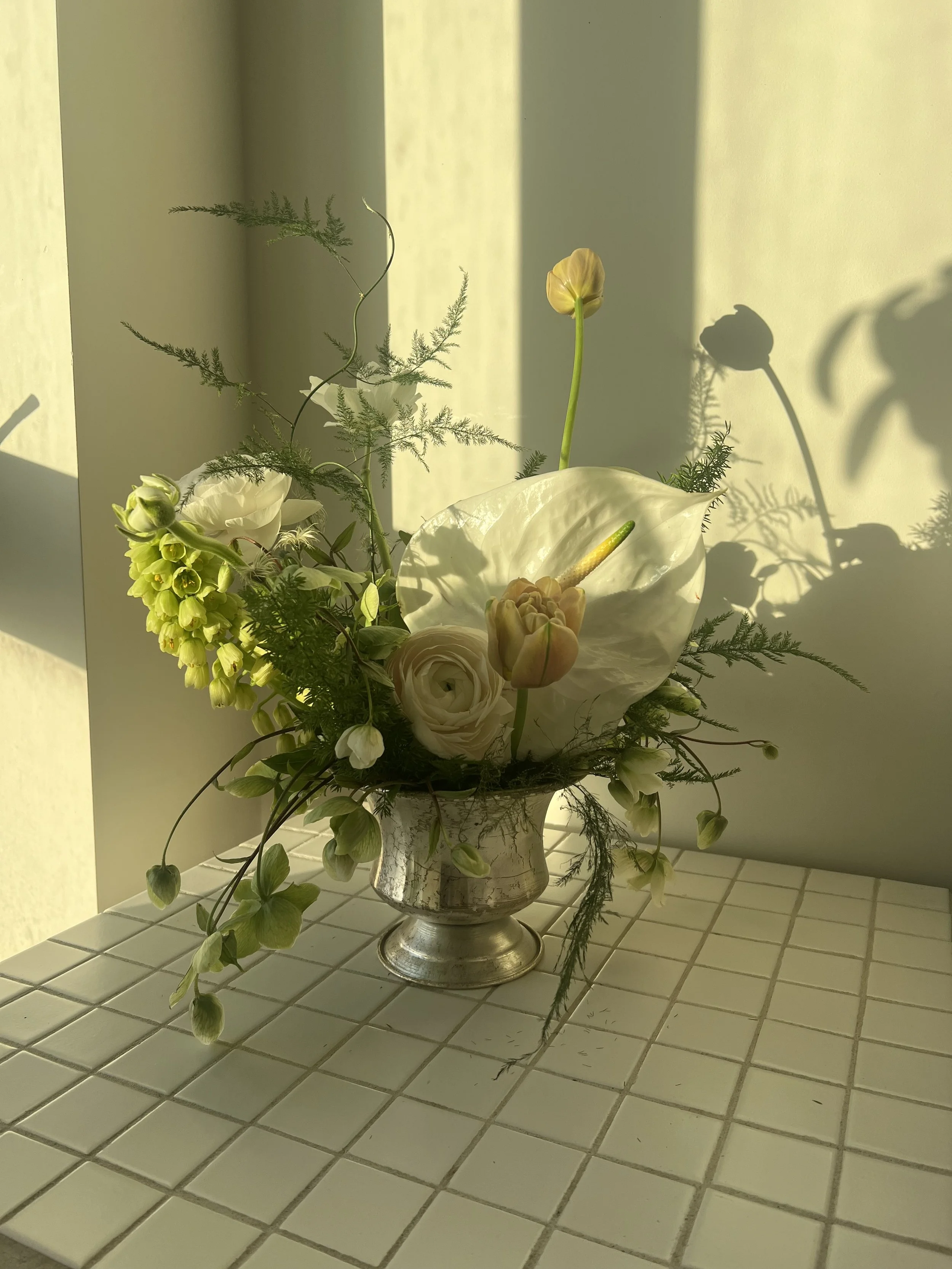 IMG_8887.jpeg