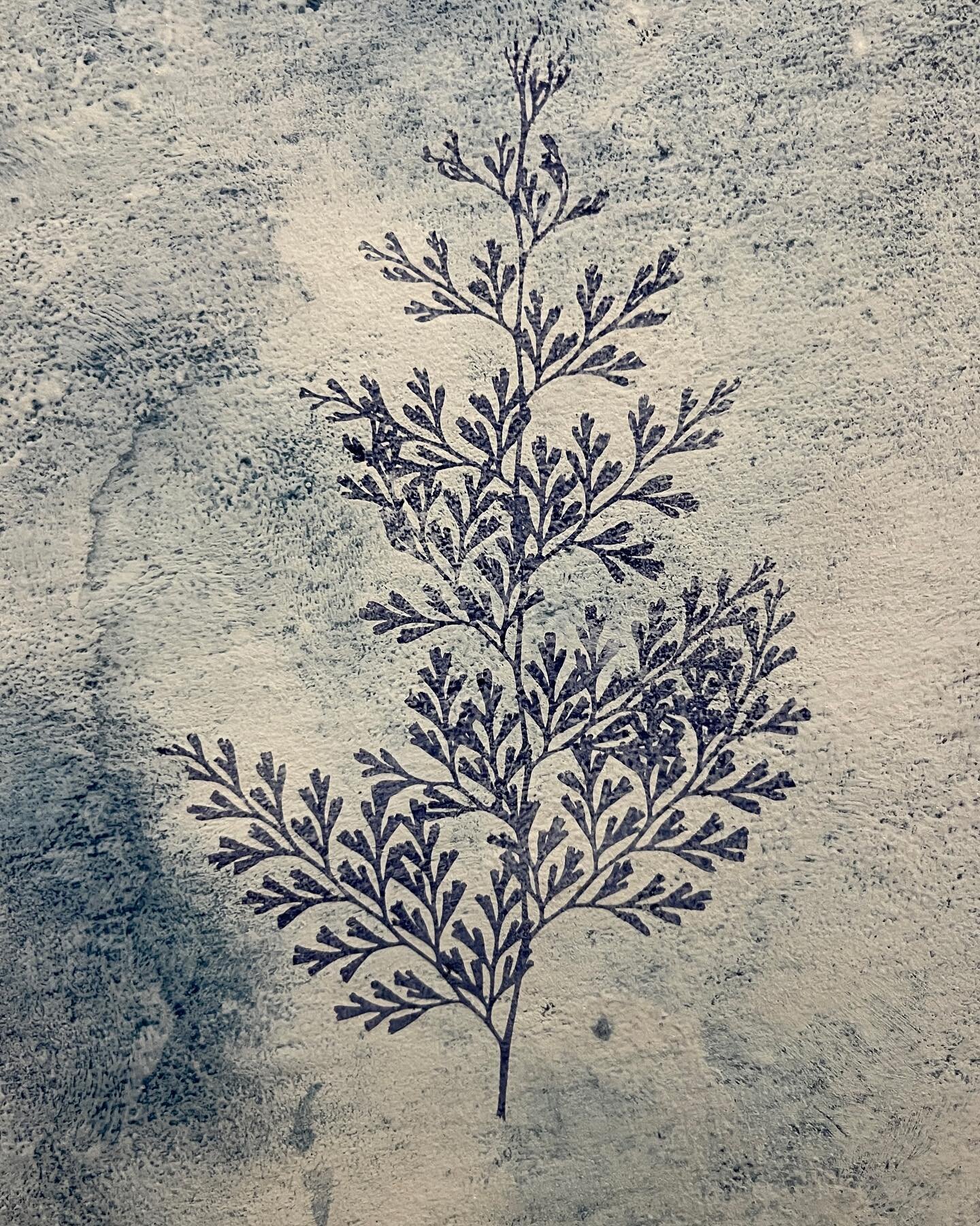 Have you tried anything new lately?

This past week, I started experimenting with cyanotypes. Instead of using the sunlight(it was very rainy in So Cal this week), I used a UV lamp. 

I prepped a bunch of different papers &amp; surfaces and I also us