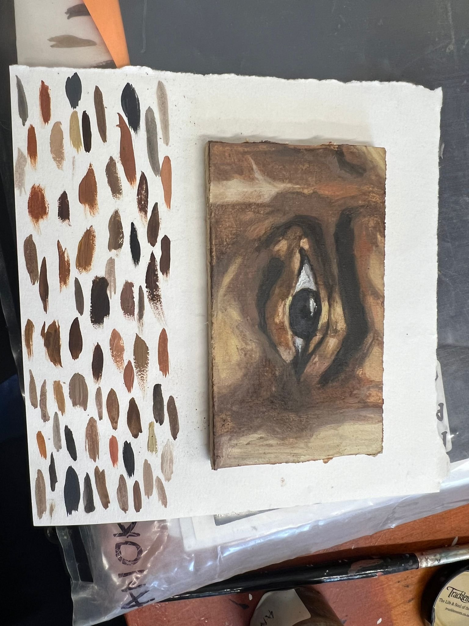 The Eye Of The Artists Block’ - the oil painting of the eye that blossoms outwards was inspired by my artists block, usually when I have an artists block I draw or paint an eye (I know this is quite common amongst artists) so I decided I was going to