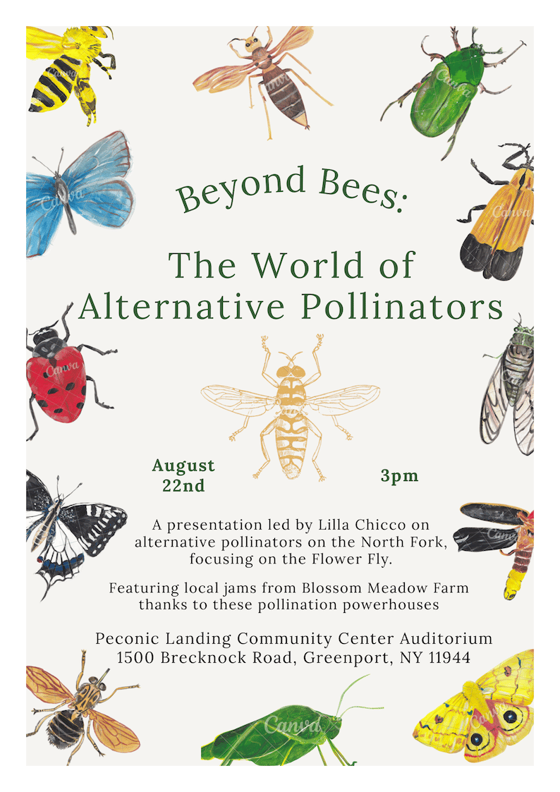 Beyond Bees - The World of Alternative Pollinators